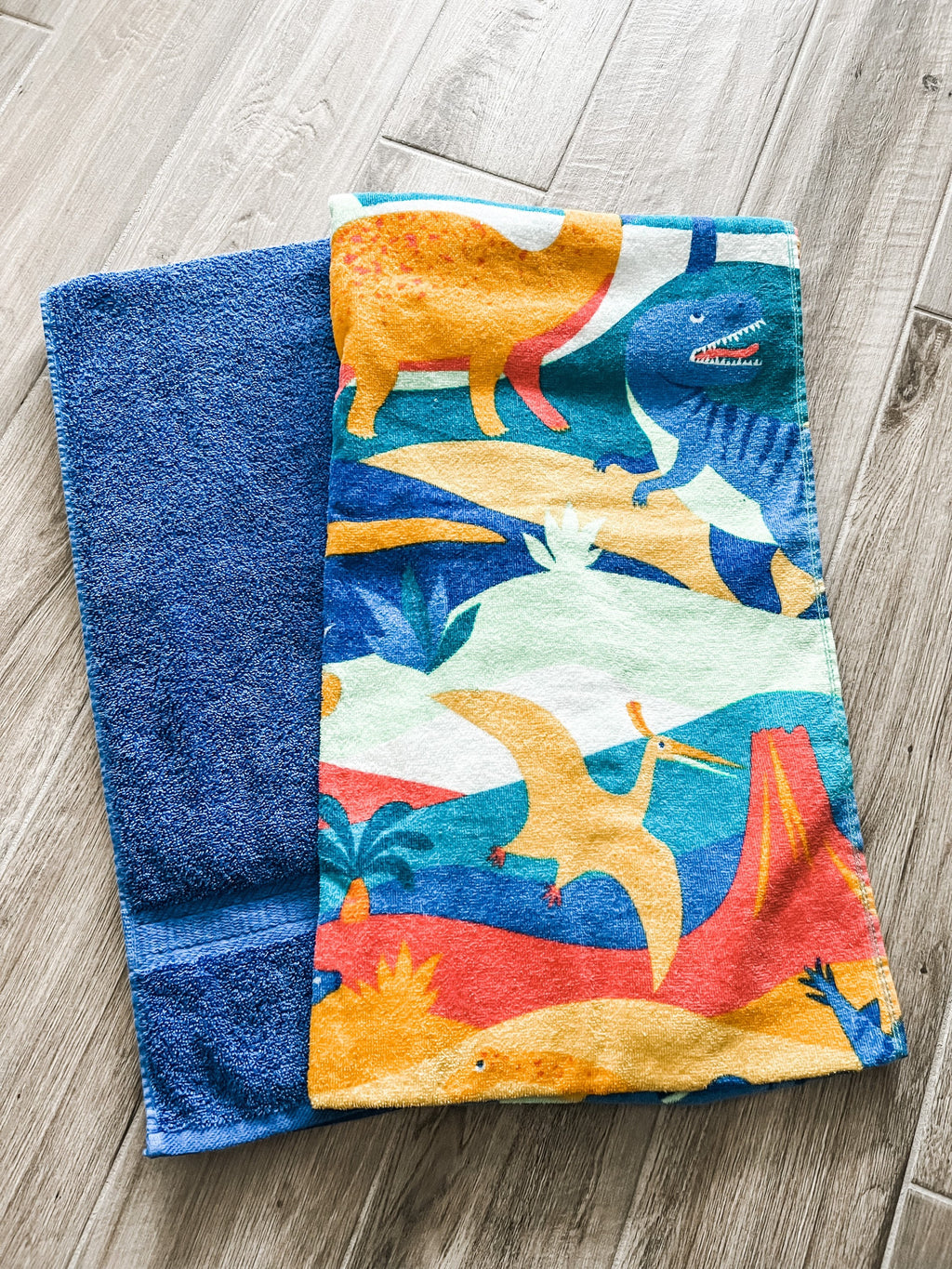 Dino Discovery Towel Pants